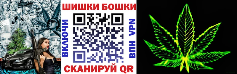 Бошки Шишки ГИДРОПОН  Купить закладки  Новоржев 